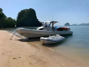 Thumbnail von Sacs Strider 11 LIMO