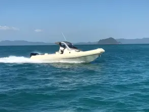 Thumbnail von Sacs Strider 11 LIMO