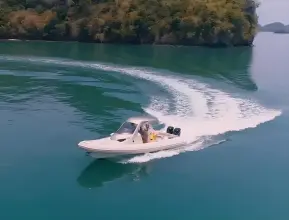 Thumbnail von Sacs Strider 11 LIMO