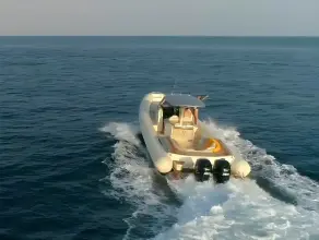 Thumbnail von Sacs Strider 11 LIMO