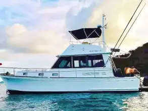 Thumbnail von Grand Banks 40 Eastbay 6082739