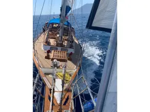 Thumbnail von Formosa 51