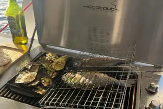 Thumbnail von Seawind 1370 Ruby Rose 2