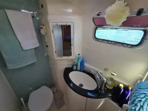 Thumbnail von Leopard 43 Powercat  Spy Hop II