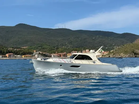 Mochi Craft Dolphin 44