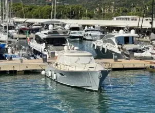 Thumbnail von Mochi Craft Dolphin 44