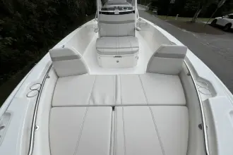 Thumbnail von Boston Whaler 250 Dauntless
