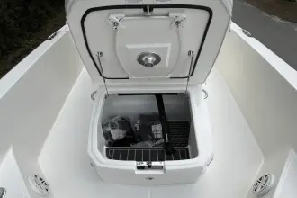 Thumbnail von Boston Whaler 250 Dauntless