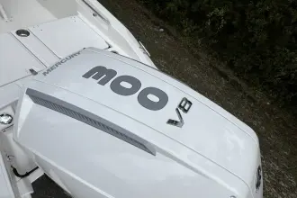 Thumbnail von Boston Whaler 250 Dauntless