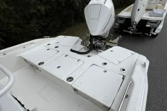 Thumbnail von Boston Whaler 250 Dauntless