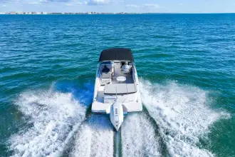 Thumbnail von Sea Ray SPX 230 Outboard