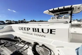 Thumbnail von Boston Whaler 330 Outrage