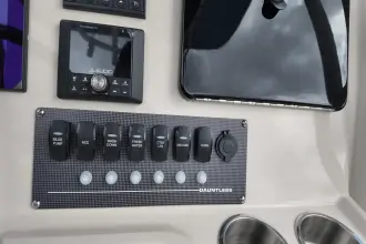 Thumbnail von Boston Whaler 220 Dauntless