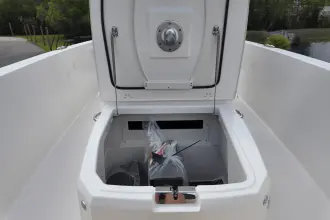 Thumbnail von Boston Whaler 220 Dauntless