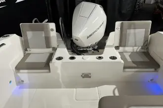 Thumbnail von Boston Whaler 210 Vantage