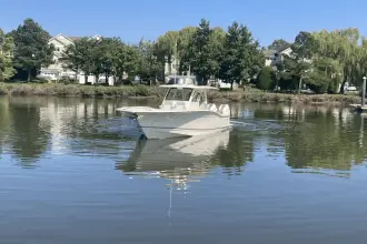 Thumbnail von Scout 357 LXF