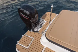Thumbnail von Sea Ray SPX 190 Outboard