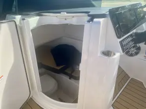 Thumbnail von Sea Ray SDX 270