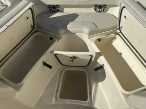 Thumbnail von Scout 305 LXF