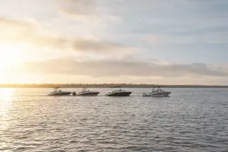 Thumbnail von Sea Ray SPX 190