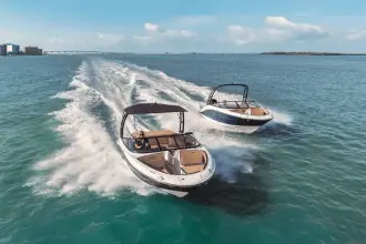 Thumbnail von Sea Ray SPX 190