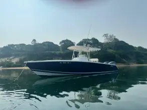 Thumbnail von Jupiter 29 FS