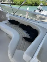 Thumbnail von Carver 43 Motor Yacht
