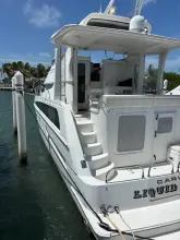 Thumbnail von Carver 43 Motor Yacht
