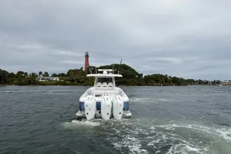 Thumbnail von Intrepid 41 Panacea