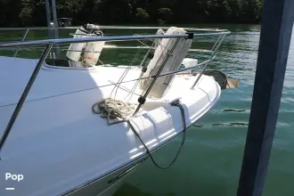 Thumbnail von Sea Ray 360 Sedan Bridge