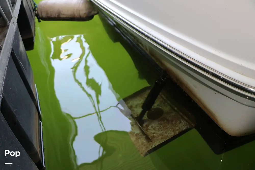 Thumbnail von Sea Ray 360 Sedan Köprü