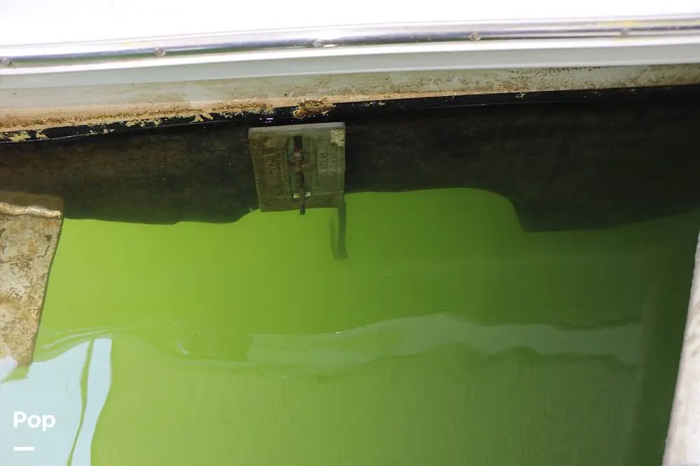 Thumbnail von Sea Ray 360 Sedan Köprü