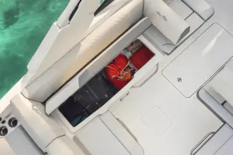 Thumbnail von Sea Ray SDX 250 s motorem