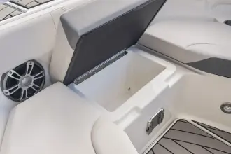 Thumbnail von Sea Ray SDX 250 s motorem