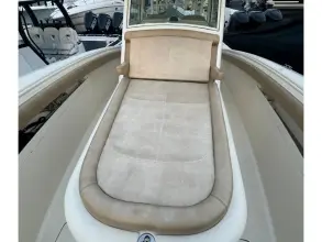 Thumbnail von Scout 350 LXF