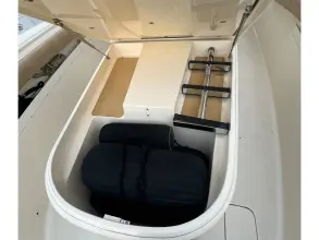 Thumbnail von Scout 350 LXF