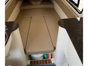 Thumbnail von Scout 350 LXF