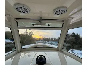 Thumbnail von Scout 350 LXF