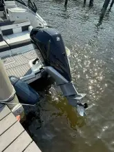 Thumbnail von Monterey M 65