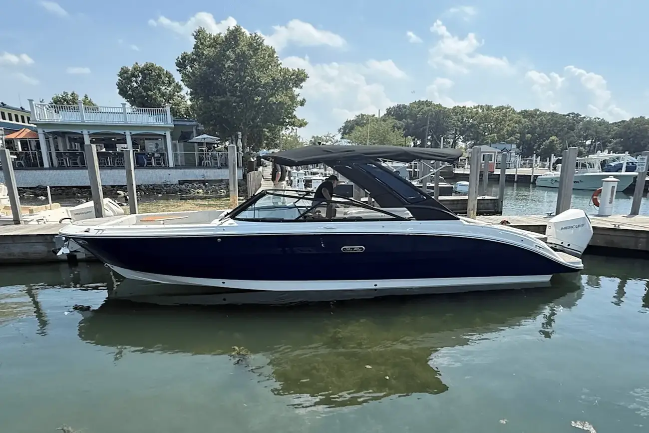 Sea Ray SDX 270 Dıştan Takma Motor