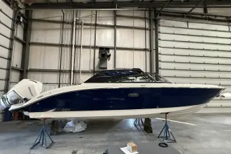 Thumbnail von Sea Ray SDX 270 Dıştan Takma Motor