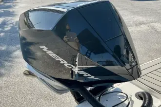 Thumbnail von Sea Ray SDX 250 Outboard