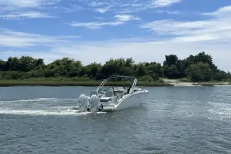 Thumbnail von シー レイ SDX 290 アウトボード