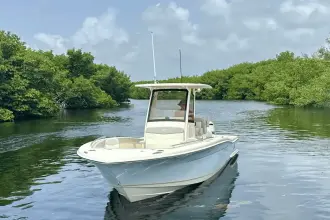 Thumbnail von Scout 240 XSF