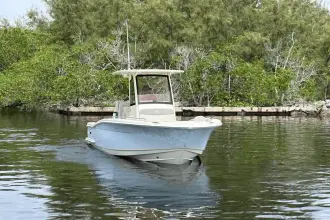 Thumbnail von Scout 240 XSF