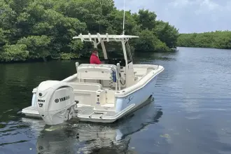 Thumbnail von Scout 240 XSF