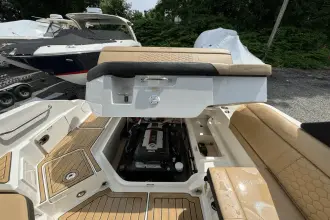 Thumbnail von Sea Ray SDX 250