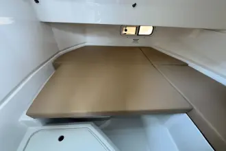 Thumbnail von Sea Ray SDX 250