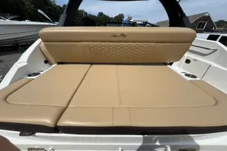 Thumbnail von Sea Ray SDX 250