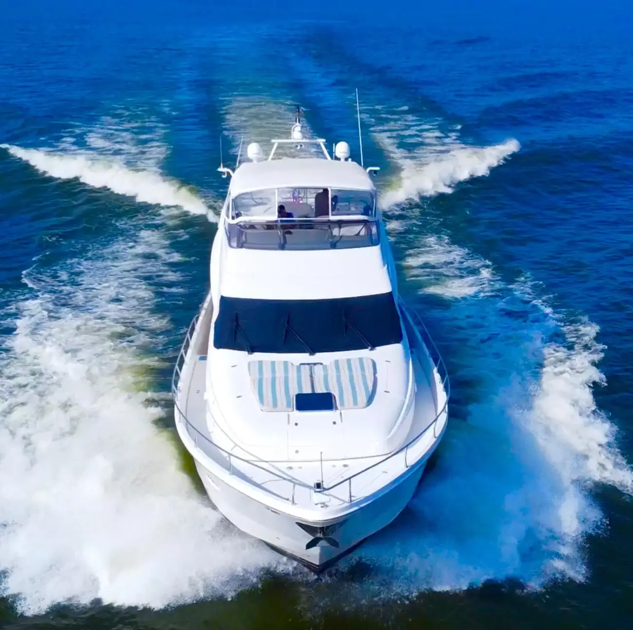 Thumbnail von Marquis 65